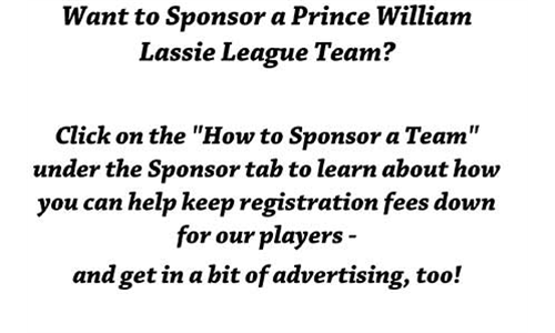 Sponsor a team! Click here for more information!